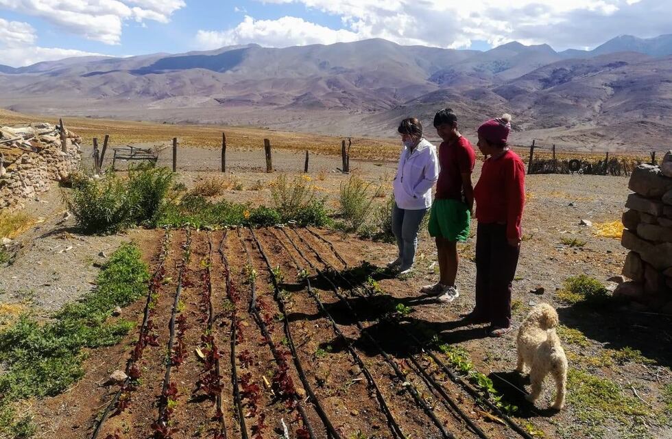 La Fundación Alfarcito instala riego por goteo a productores de la Puna