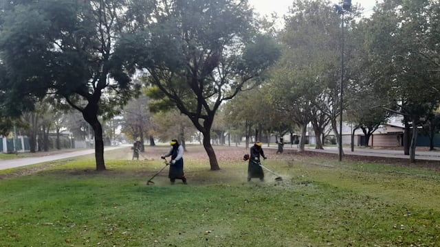 Continúan las tareas de limpieza en espacios públicos