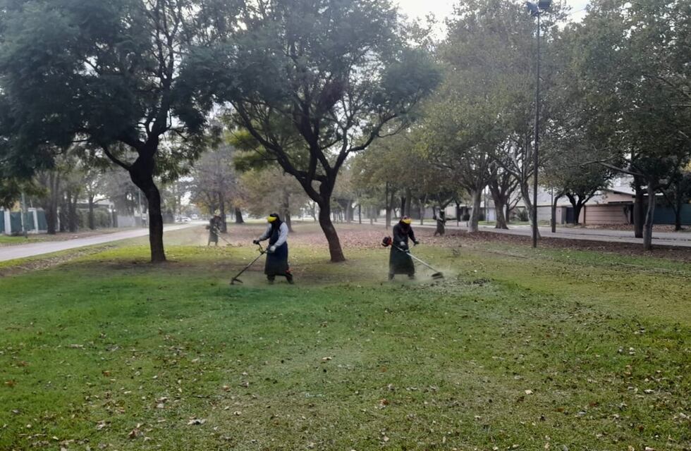 Espacios más seguros y limpios: continúan las acciones municipales en Rafaela