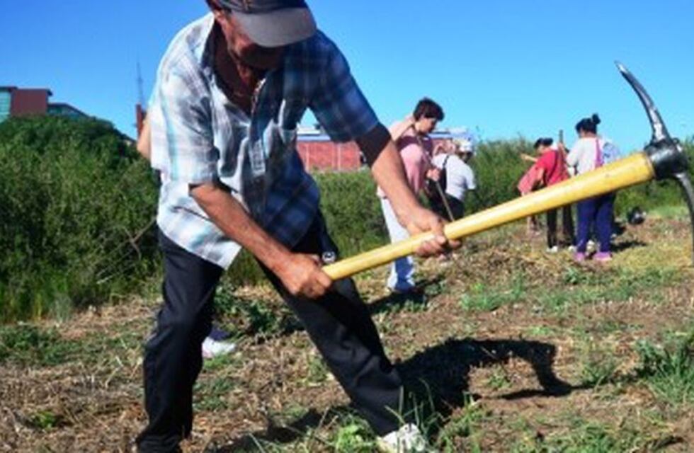 Piden informes por masivos despidos en el Plan de Inclusión Social