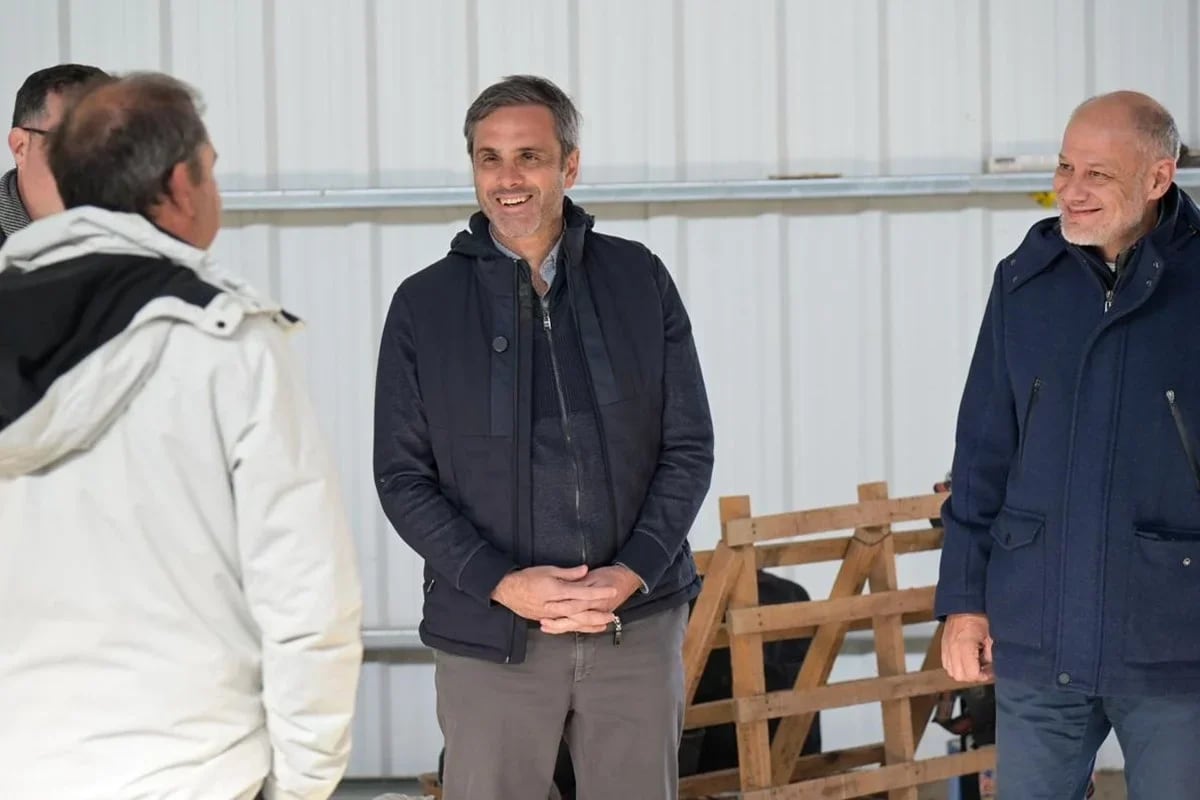 El Movimiento Nacional Reformista pidió que el rector Andrés Sabella tome licencia en su cargo mientras dura la campaña electoral.