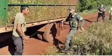 Tensión en yerbales de Comandante Andresito durante operativo del AFIP.
