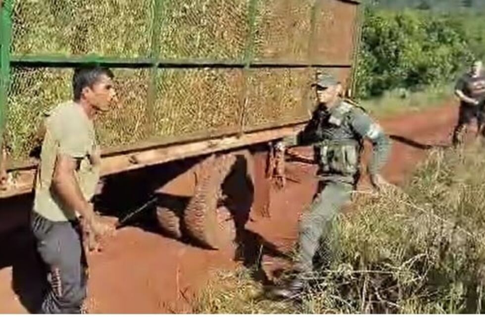 Tensión en yerbales de Comandante Andresito durante operativo del AFIP