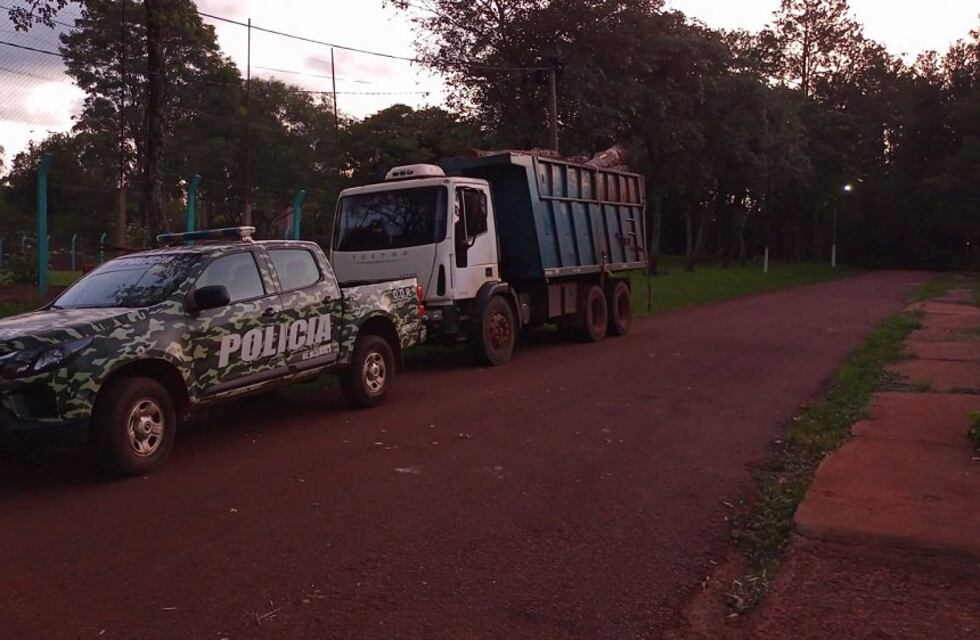 Secuestran cargamento de madera nativa en 9 de Julio