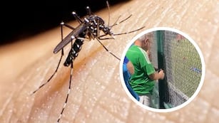 Ante la ola de dengue en Córdoba, un hincha encendió espirales a la tribuna.