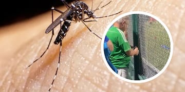 Ante la ola de dengue en Córdoba, un hincha encendió espirales a la tribuna.