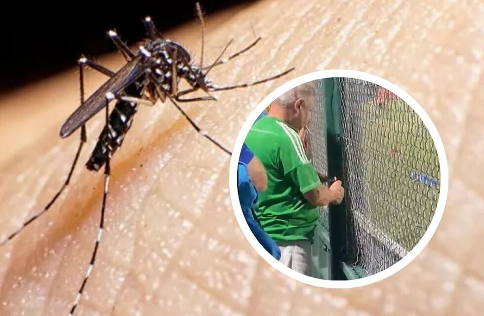 Ante la ola de dengue en Córdoba, un hincha encendió espirales a la tribuna