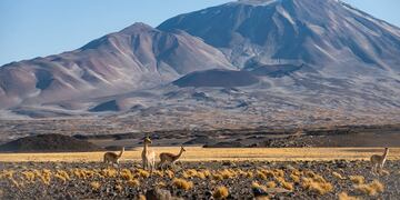 Catamarca ofrece excelentes paisajes para conocer durante el fin de semana largo de mayo.