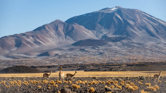 Catamarca ofrece excelentes paisajes para conocer durante el fin de semana largo de mayo.