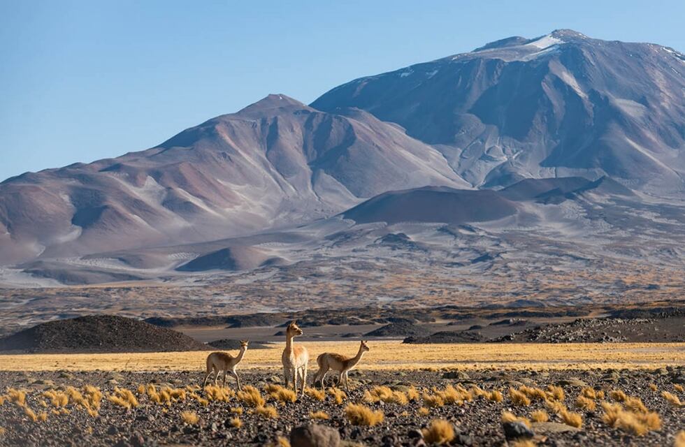 Volcanes, montañas y lagunas: el recorrido único que Catamarca ofrece para el fin de semana largo