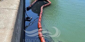 Denuncian un nuevo derrame de hidrocarburos en Puerto Belgrano. Foto: Estación de Rescate de Fauna Marina Guillermo "Indio" Fidalgo