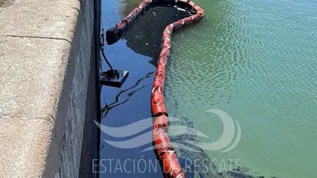 Denuncian un nuevo derrame de hidrocarburos en Puerto Belgrano. Foto: Estación de Rescate de Fauna Marina Guillermo "Indio" Fidalgo