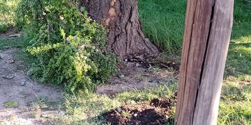 La víctima tenía 26 años.