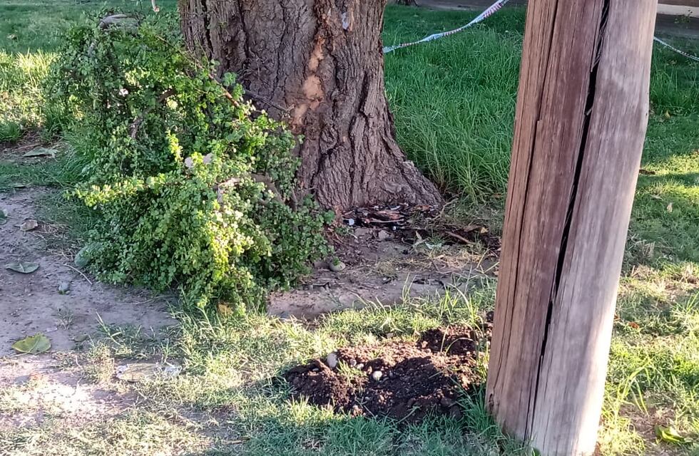 Perdió el control de su moto, se estrelló contra un árbol y murió