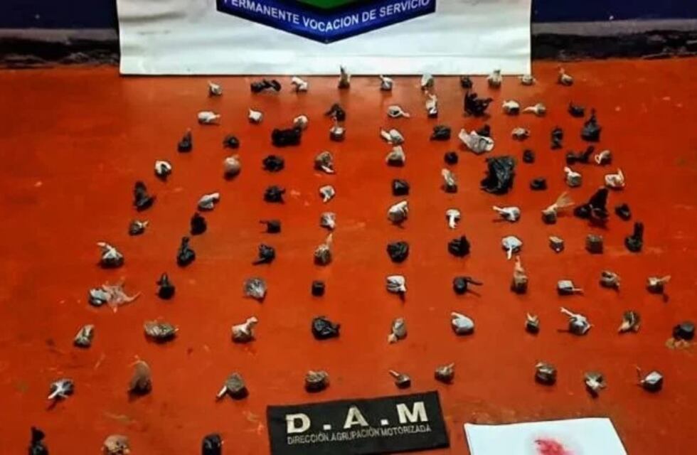 Desarticulan un punto de venta de drogas en Eldorado