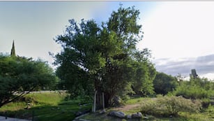 El descampado en el que encontraron a Tania, quien había desaparecido en el Parque Sarmiento de Córdoba.