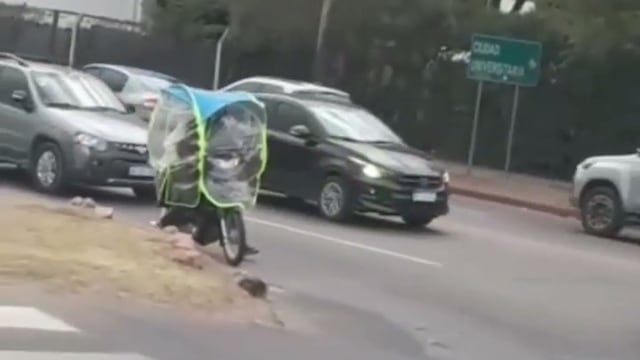 El motociclista viajaba con un curioso protector.