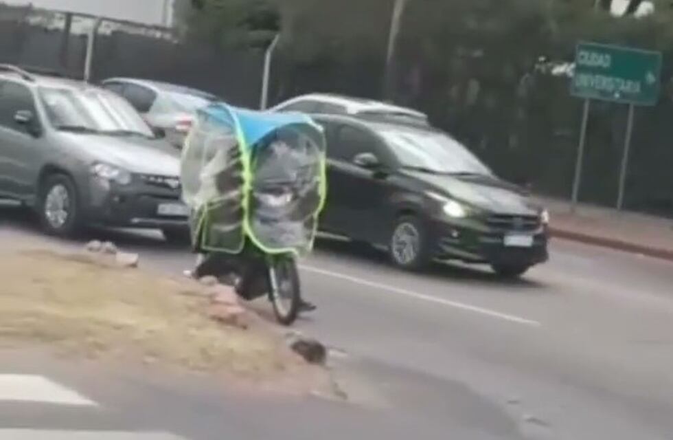 “¿Qué saben estos del frío?”: el diálogo viral entre dos cordobeses al ver una moto con un curioso protector