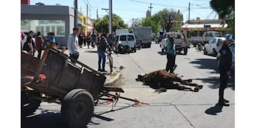 Los dos caballos quedaron atascados en el carro.