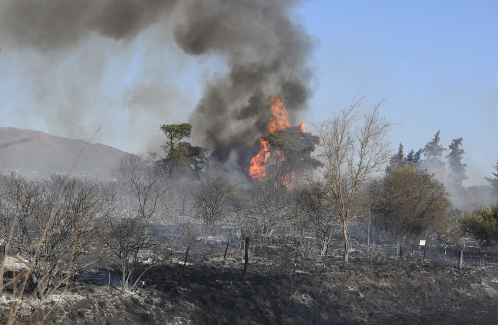 Incendios en Punilla: controlaron el incendio que se desató entre Los Cocos y Capilla del Monte