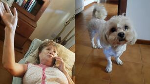 La mujer estaba por guardar el auto en su casa, cuando dos delincuentes aparecieron y se lo llevaron con el perro dentro.