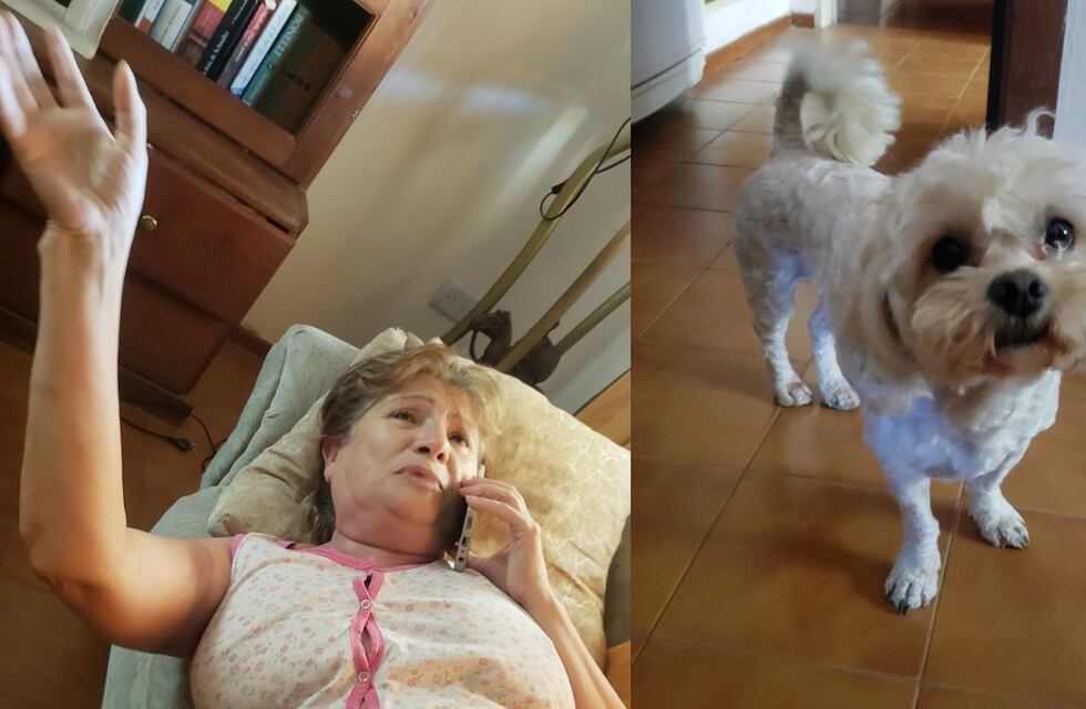 La arrastraron dos cuadras para robarle el auto en Córdoba: “Sólo quería a mí perrita”