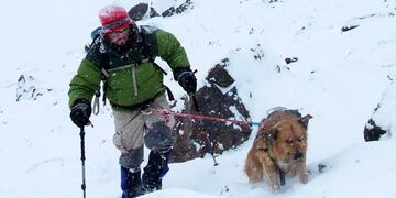 Uno los dos: desde 2013, las vidas de Nacho y el perro Oro se fusionaron en una sola. En 2016 hicieron cumbre en el Aconcagua por primera vez, y luego lo repitieron 3 veces más. Foto: Twitter @CumbresMagazine