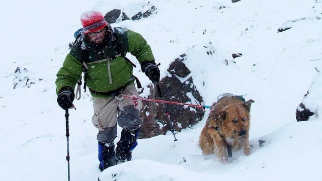 Uno los dos: desde 2013, las vidas de Nacho y el perro Oro se fusionaron en una sola. En 2016 hicieron cumbre en el Aconcagua por primera vez, y luego lo repitieron 3 veces más. Foto: Twitter @CumbresMagazine