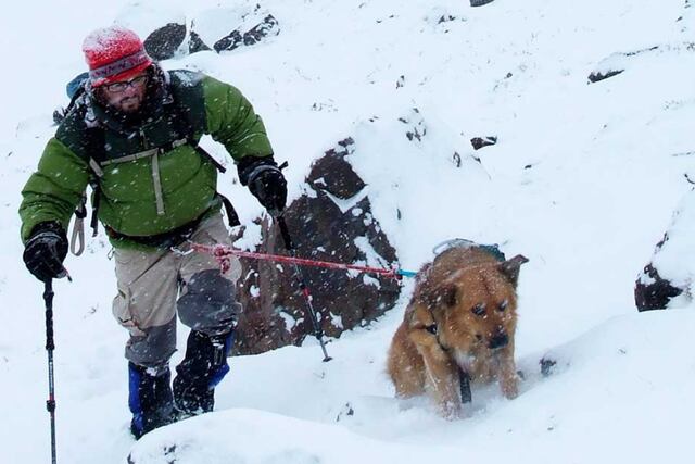 Uno los dos: desde 2013, las vidas de Nacho y el perro Oro se fusionaron en una sola. En 2016 hicieron cumbre en el Aconcagua por primera vez, y luego lo repitieron 3 veces más. Foto: Twitter @CumbresMagazine