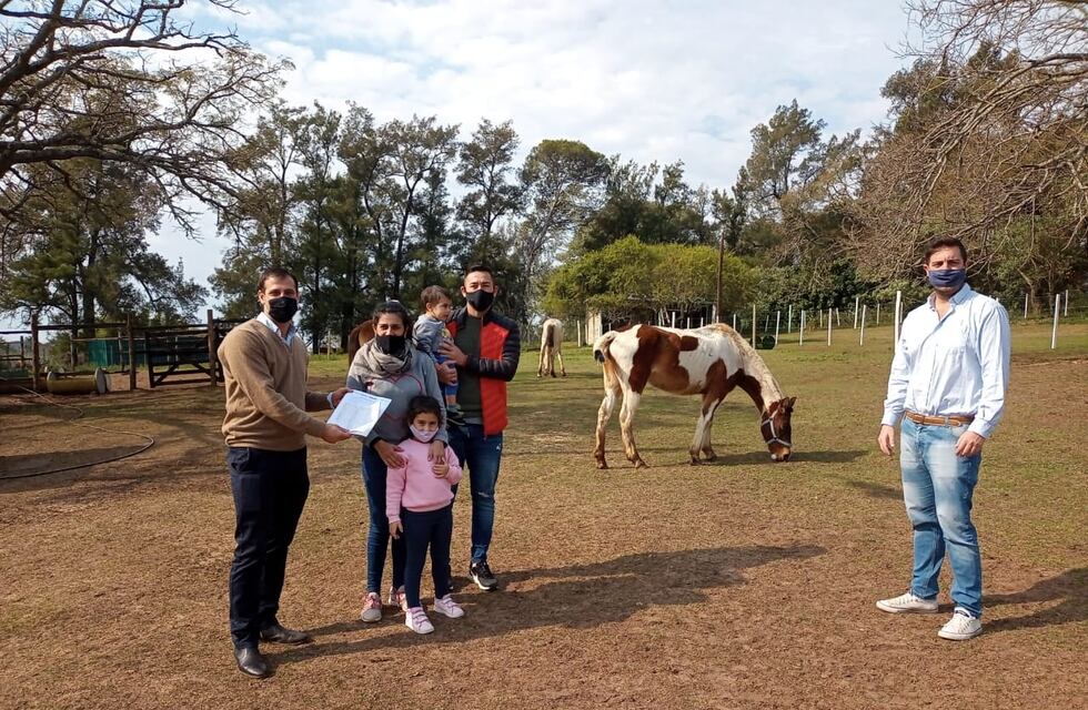 Municipio entrerriano recupera caballos maltratados y los da en adopción