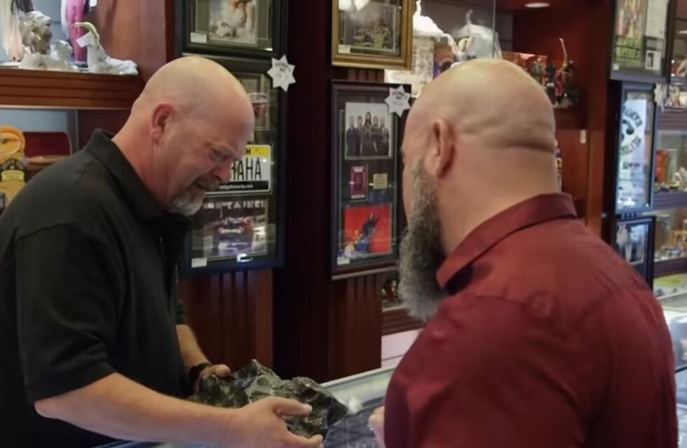 “No lo sé Rick, parece robado”: vendieron un meteorito chaqueño en El Precio de la Historia