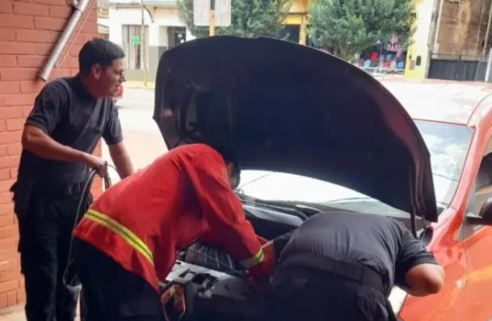 Bomberos rescatan a un gato atrapado en el motor de un vehículo en Mártires