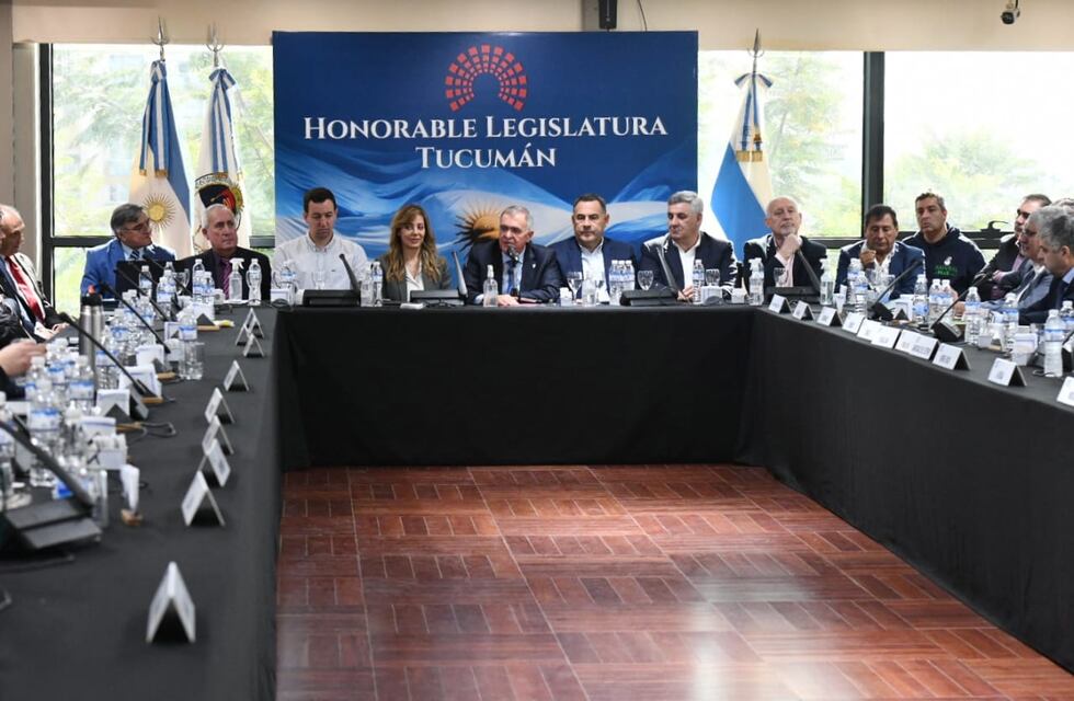 Jaldo encabezó en Tucumán el Consejo Federal de la Energía Eléctrica