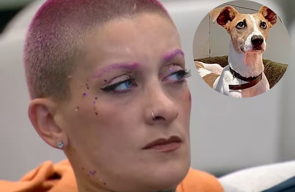 Gran Hermano 2024: fuerte repudio contra Furia por posible maltrato a Arturo