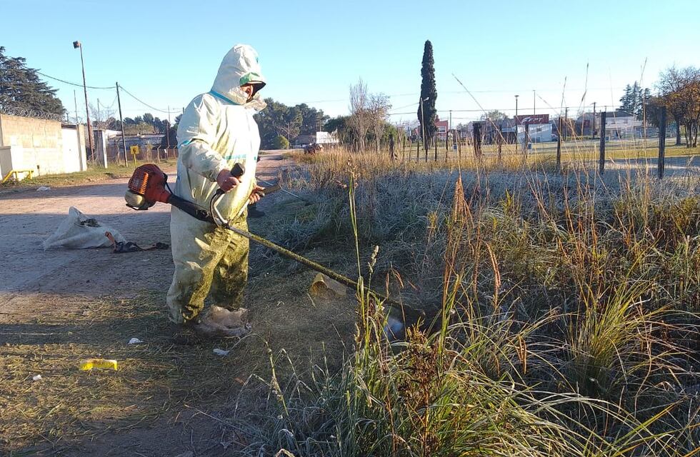 El programa Barrios Limpios llega a Escuela N°4 y Fonavi Norte de Tres Arroyos