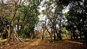 Reserva San Martín.