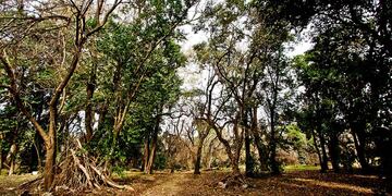 Reserva San Martín.