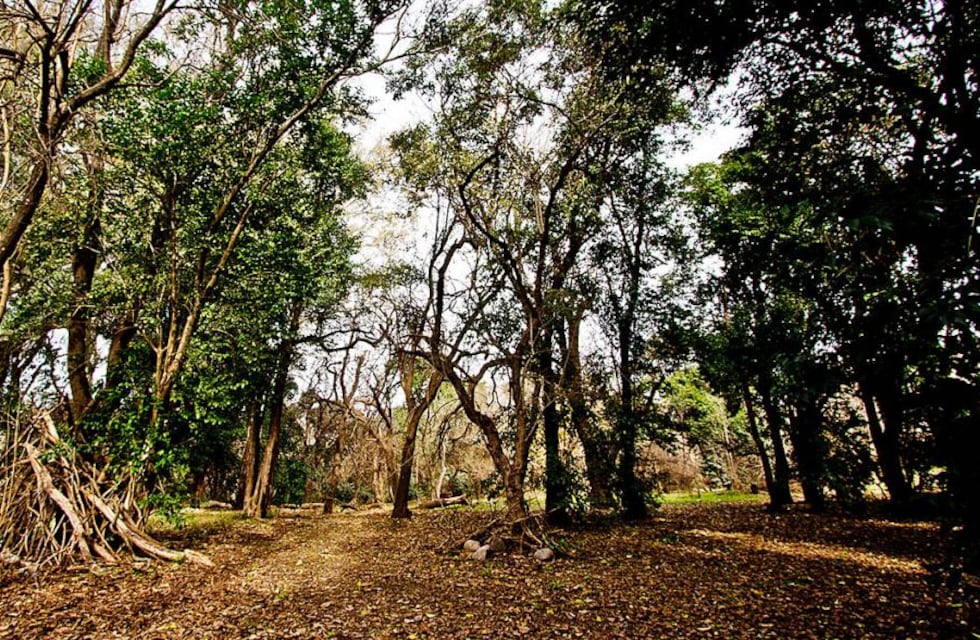 4 cosas que podés hacer un domingo en Córdoba: desde un recorrido por la historia hasta una caminata al aire libre