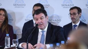 Presentan el dictamen de Lijo y el Senado podría tratar su aprobación la semana que viene.