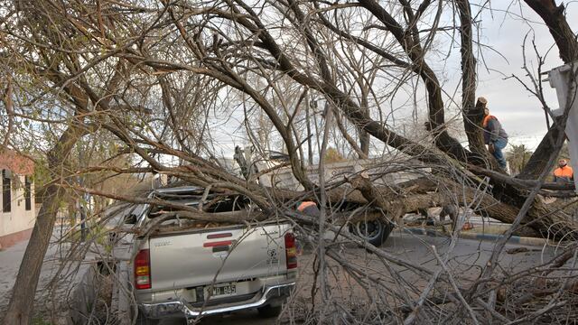 El Zonda provocó incidentes en Mendoza. Imagen de archivo.