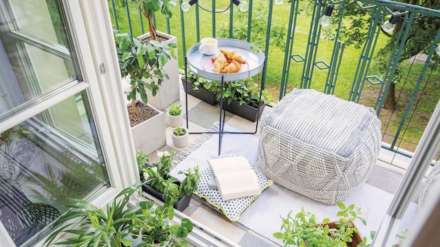 La planta que tenés que poner en el balcón en enero para atraer dinero, según el Feng Shui.