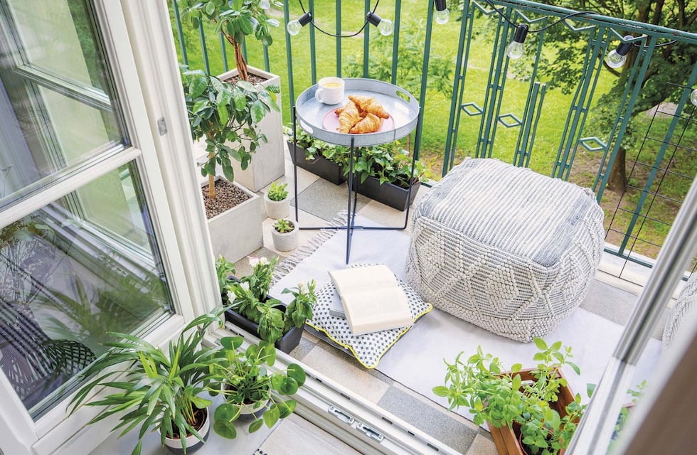 La planta que tenés que poner en el balcón en enero para atraer dinero, según el Feng Shui