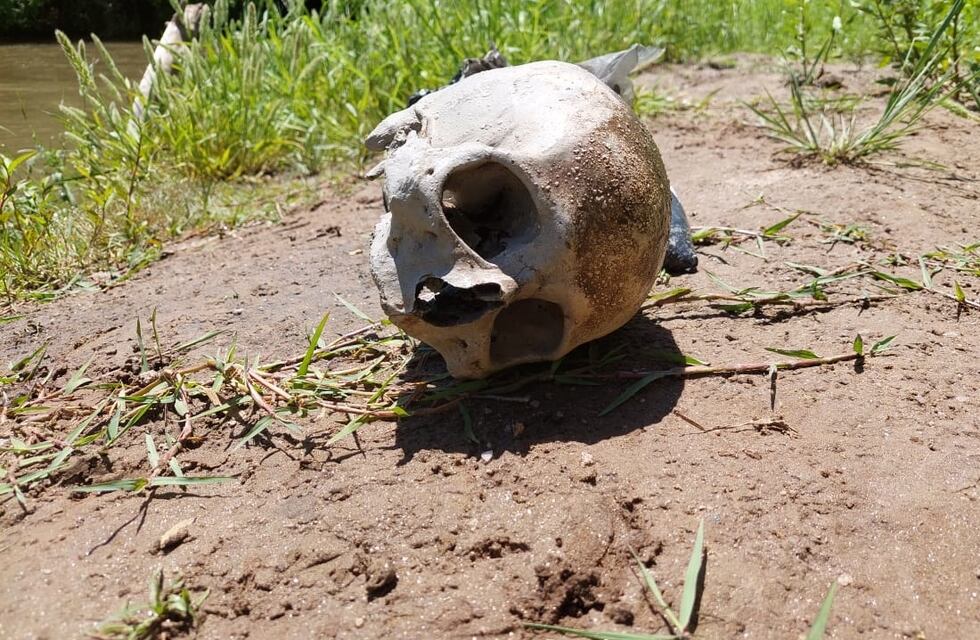 Horror en Villa María: encontraron una bolsa con restos humanos al borde del río