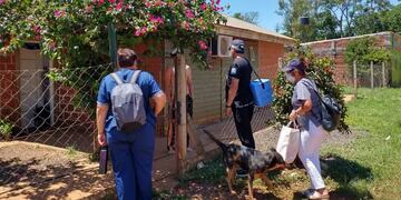 Campaña de vacunación contra la fiebre amarilla en Puerto Iguazú.