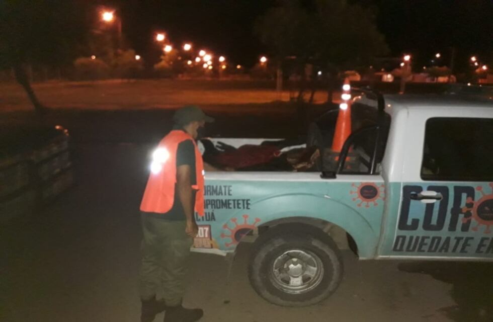 Secuestraron un vehículo que trasladaba dos búfalos faenados y dos quirquinchos