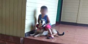 Millonaria indemnización a los propietarios del perro que mato a los venados en Montecarlo.