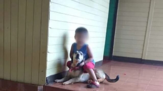 Millonaria indemnización a los propietarios del perro que mato a los venados en Montecarlo.