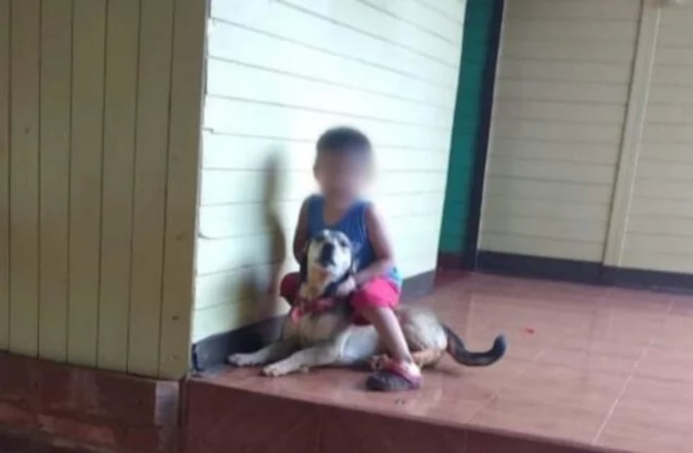 Exigen millonaria indemnización a los propietarios del perro que mato a los venados en Montecarlo