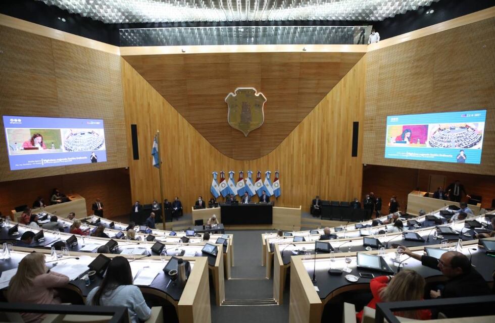 Qué contempla el proyecto de ley impulsado luego de las muertes en el Hospital Neonatal de Córdoba