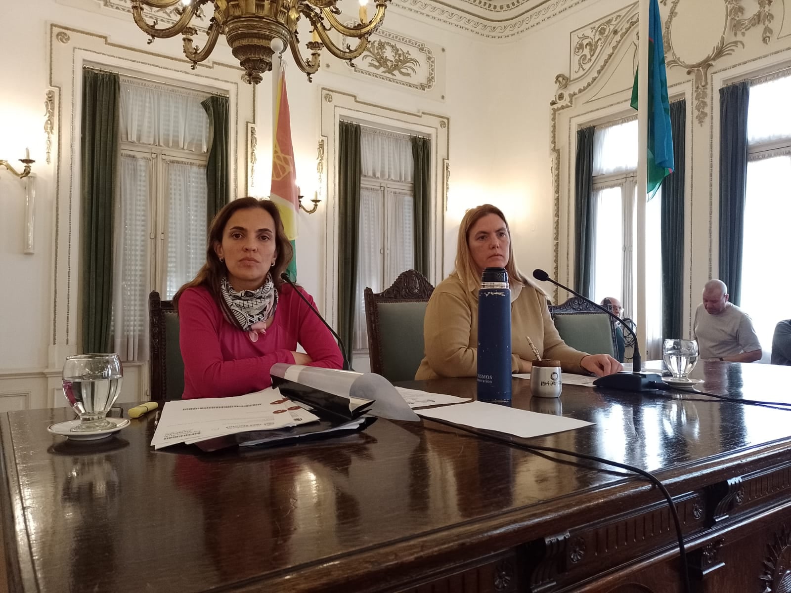 Concejo Deliberante de Tres Arroyos: resumen de la 12va Sesión Ordinaria